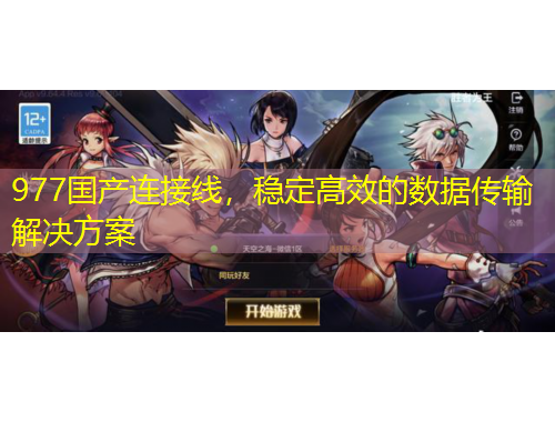 977国产连接线，稳定高效的数据传输解决方案