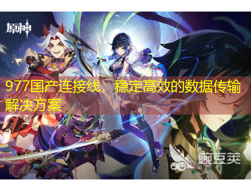 977国产连接线，稳定高效的数据传输解决方案