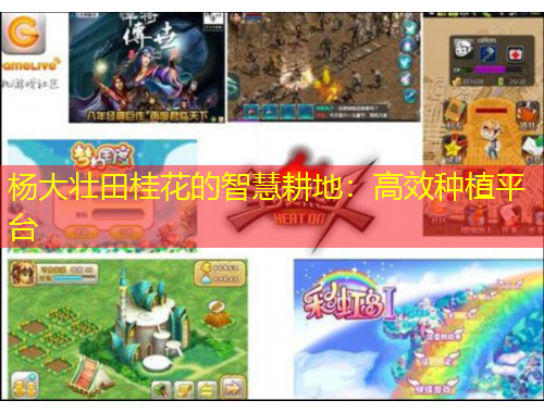 杨大壮田桂花的智慧耕地：高效种植平台