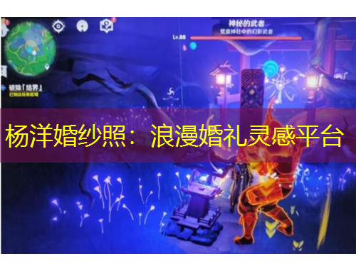 杨洋婚纱照：浪漫婚礼灵感平台