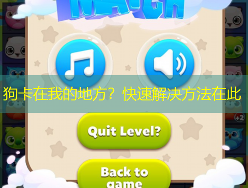 狗卡在我的地方？快速解决方法在此