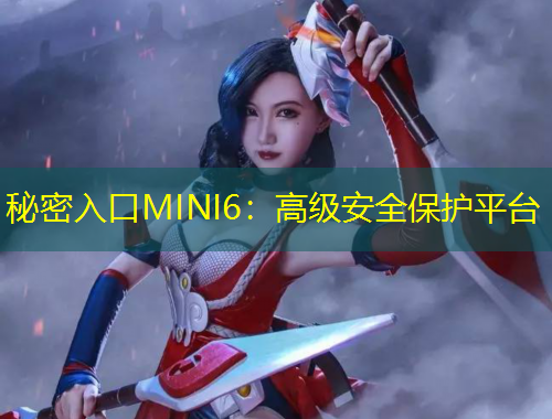 秘密入口MINI6：高级安全保护平台