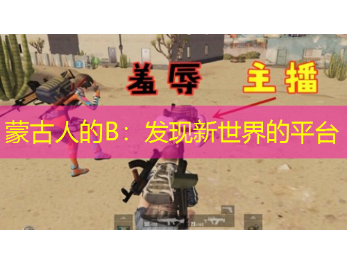 蒙古人的B：发现新世界的平台