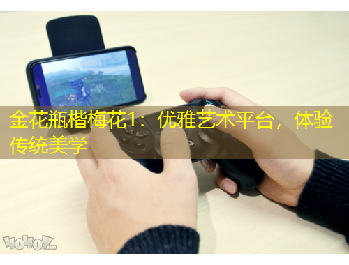 金花瓶楷梅花1:优雅艺术平台,体验传统美学