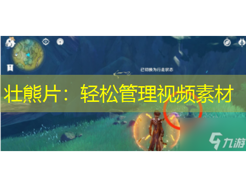 壮熊片：轻松管理视频素材