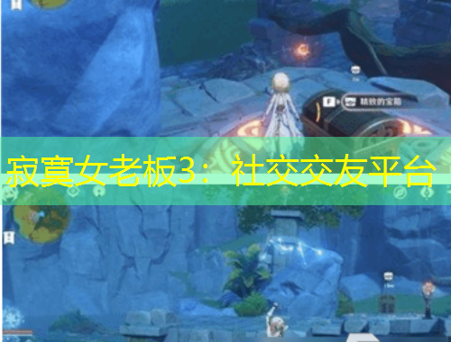 寂寞女老板3：社交交友平台