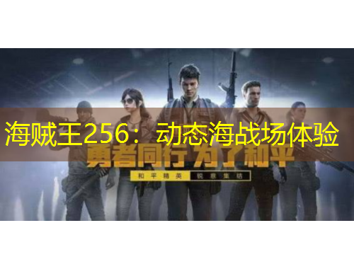 海贼王256:动态海战场体验