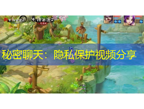 秘密聊天：隐私保护视频分享