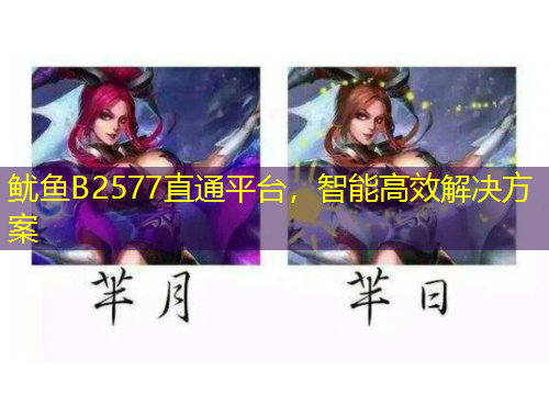 鱿鱼B2577直通平台，智能高效解决方案