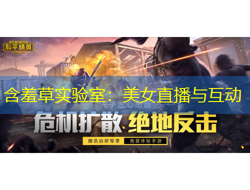 含羞草实验室：美女直播与互动