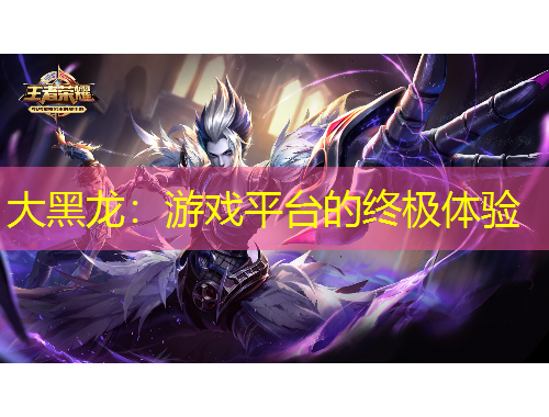 大黑龙：游戏平台的终极体验